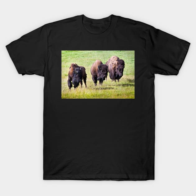 Three Bison T-Shirt by valentina9